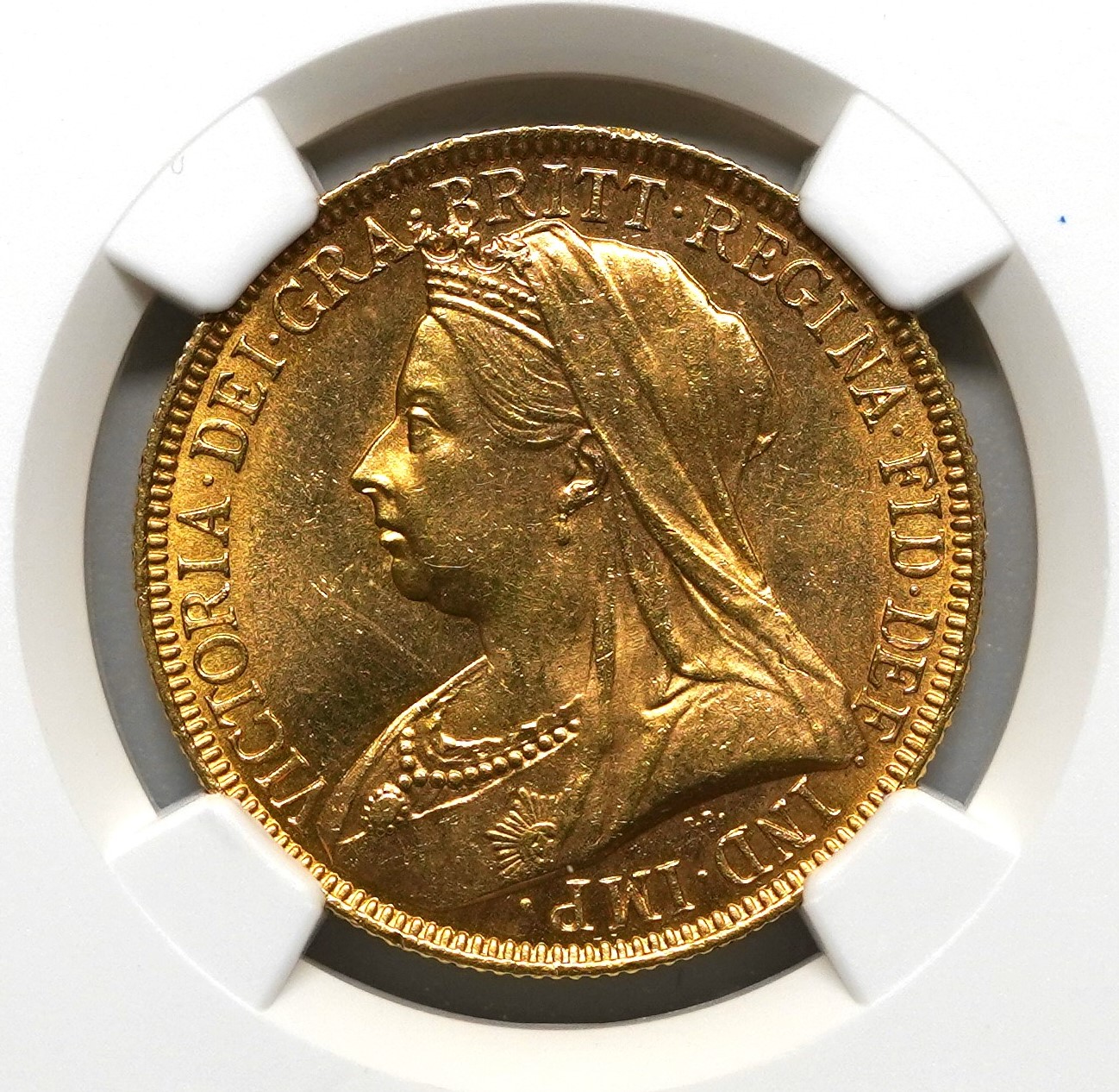 再掲載】1893年 ヴィクトリア 2ポンド金貨 MS64 NGC | ソブリン 